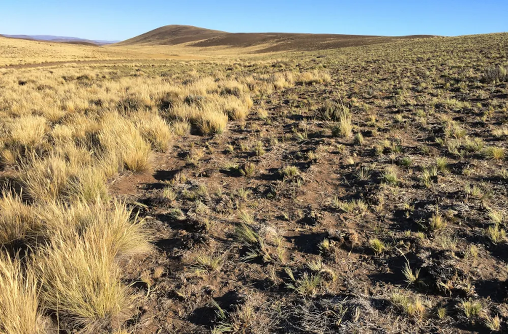 ECOOBJETIVO FOTO GANADERIA 2 patagonia-degradacion
