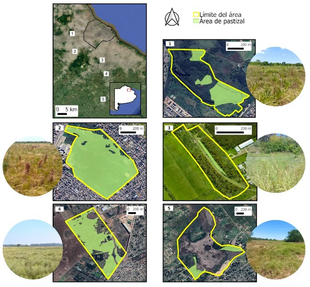 ECOOBJETIVO FOTO PASTIZALES AMBA 3 reservas-mapa