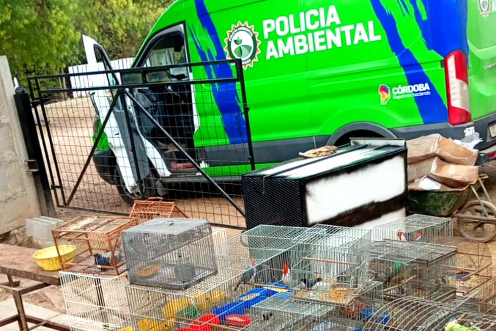 Policía Ambiental
