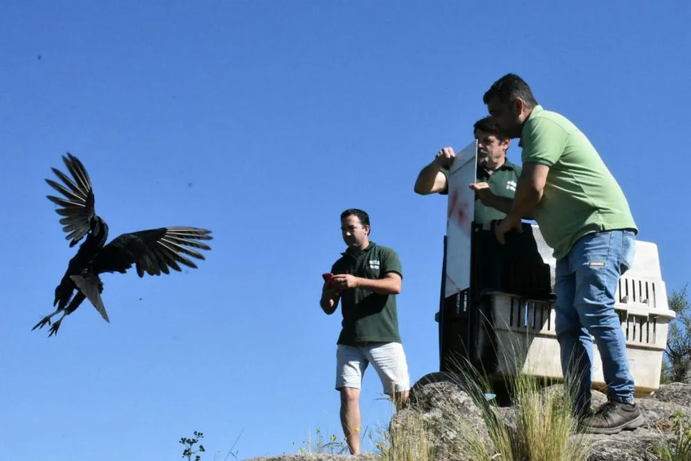 ECOOBJETIVO FOTO COLANCHANGA LIBERACION AVES 2025 3
