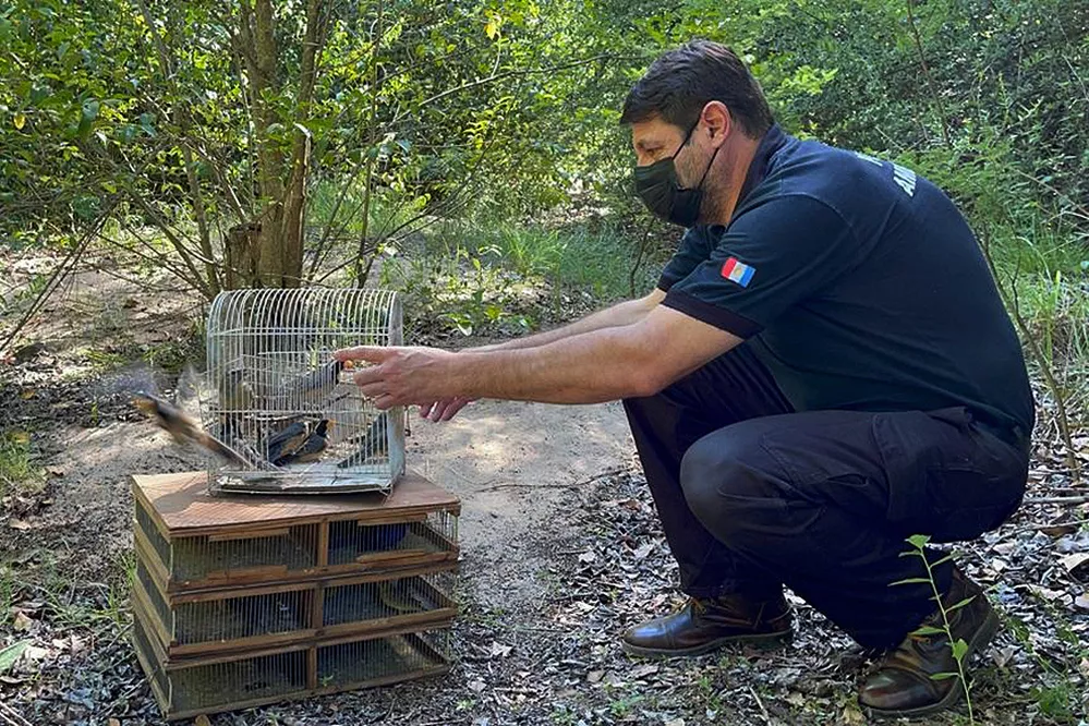 ECOOBJETIVO FOTO POLICIA AMBIENTAL IBERACION ASCOCHINGA 1