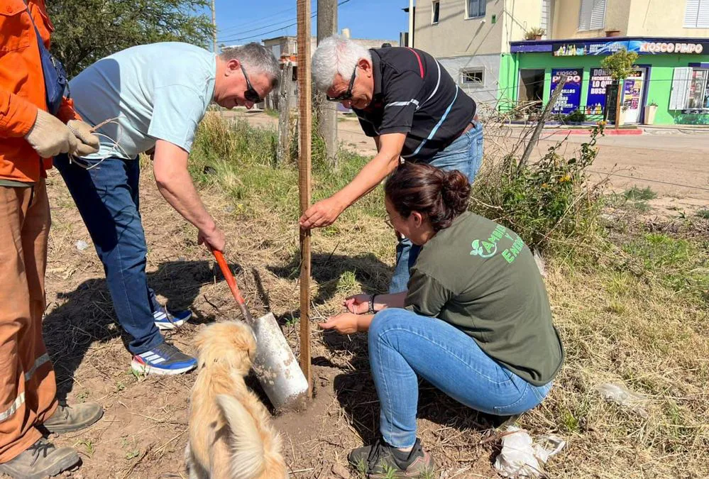 ECOOBJETIVO FOTO ARROYITO PLANTACION ALGARROBOS 2