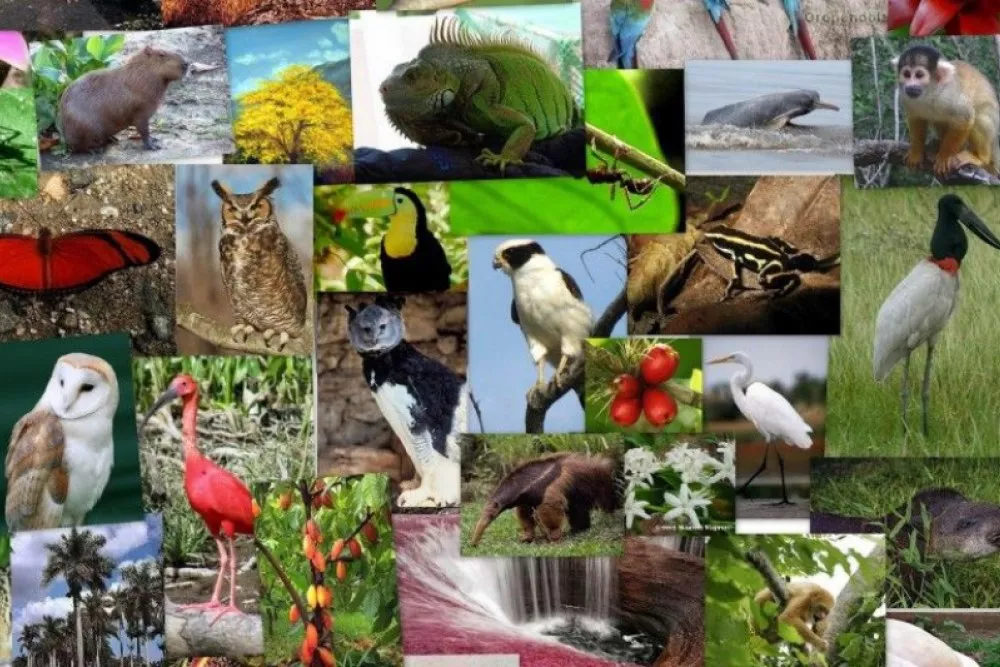 biodiversidad