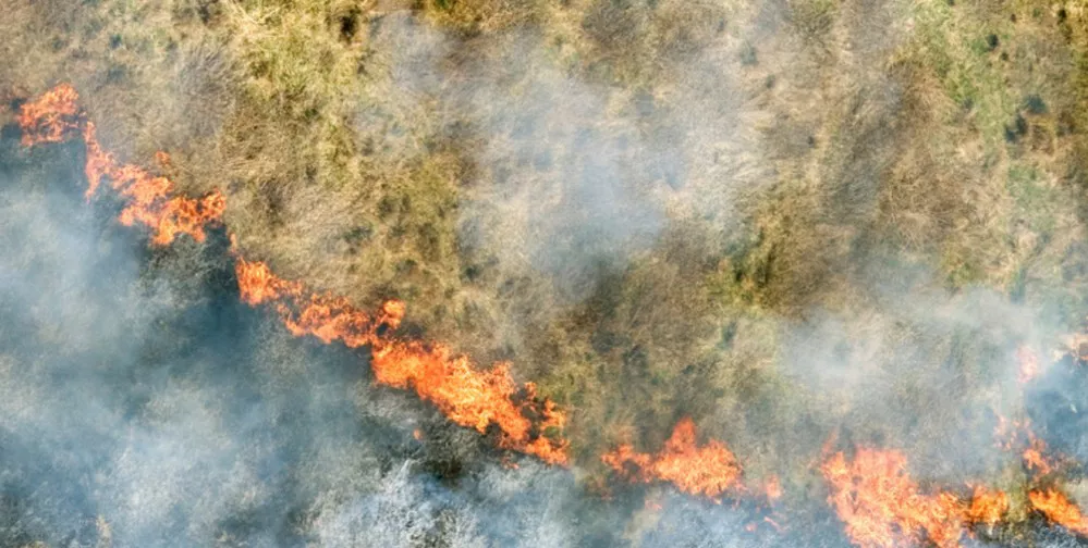ECOOBJETIVO FOTO ONU CAMBIO CLIMATICO