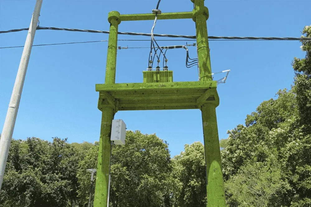 ECOOBJETIVO FOTO BIOESTACIONES LICITACION