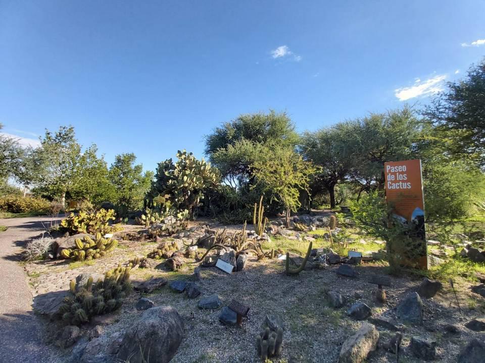 Jardin botasnico cordoba 00019