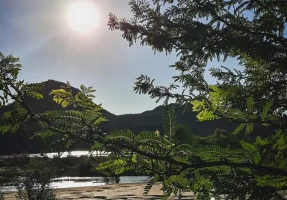 ÉCOOBJETIVO FOTO NONO RAMCC SELLOS VERDES