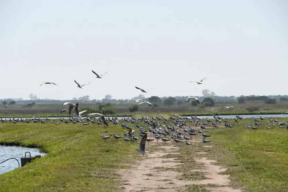 ECOOBJETIVO FOTO SAN FRANCISCO EDAR EFLUENTES CLOACALES 1