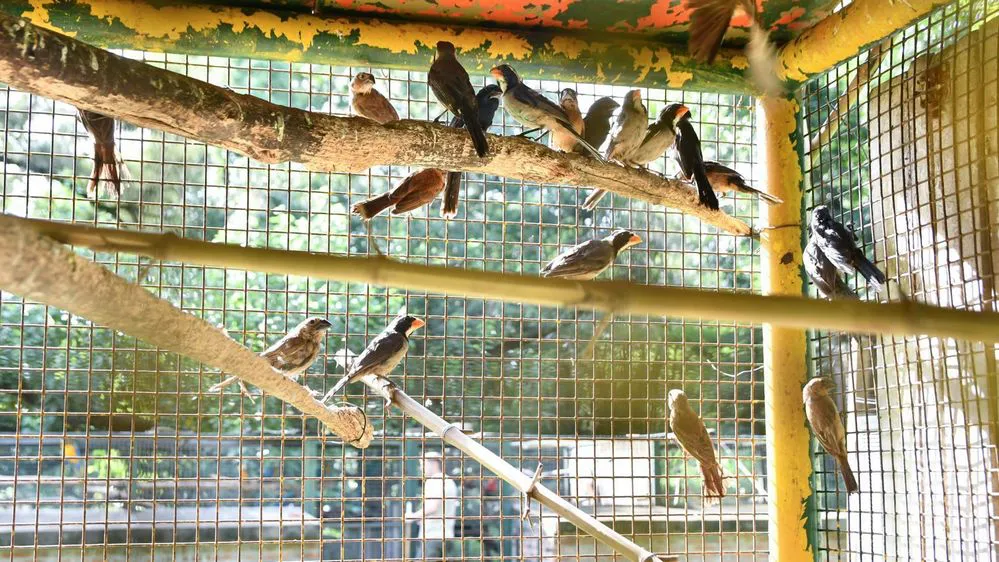 ECOOBJETIVO FOTO SANTA FE SECUESTRO FAUNA 180226 2