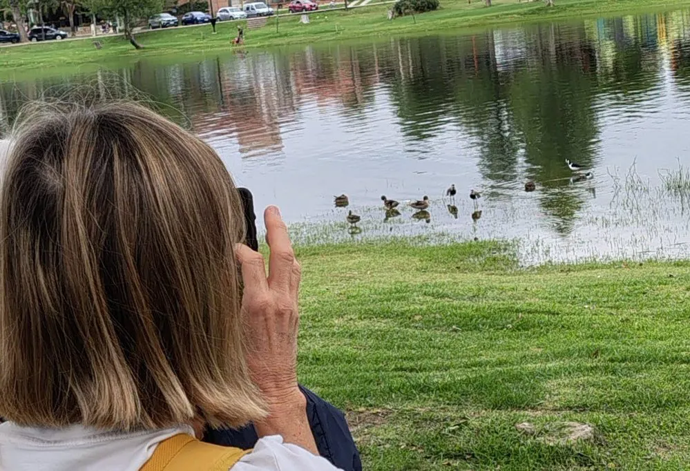 ECOOBJETIVO FOTO VILLA CARLOS PAZ AVISTAJE DE AVES 1