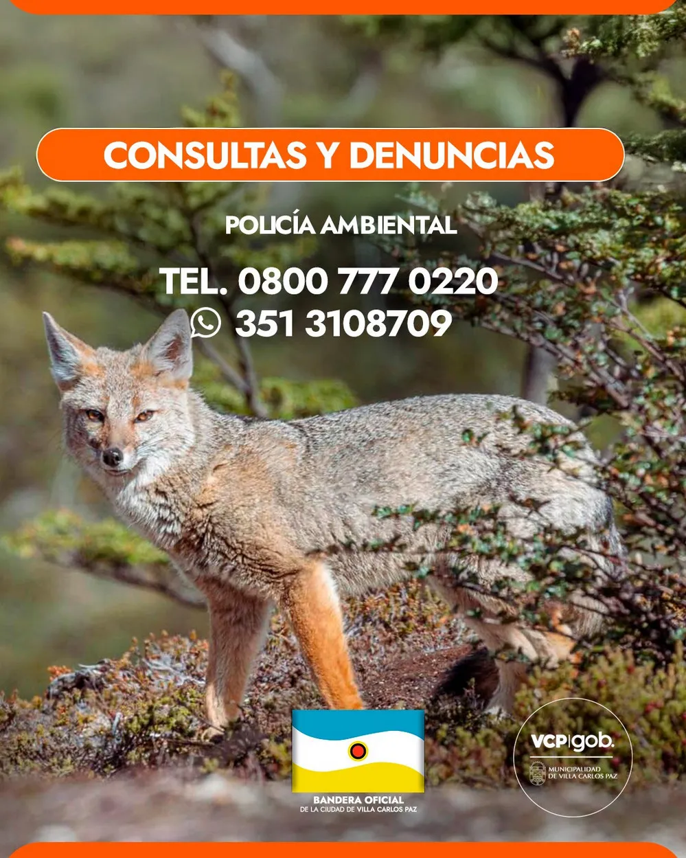 ECOOBJETIVO FOTO VILLA CARLOS PAZ FAUNA NATIVA 3