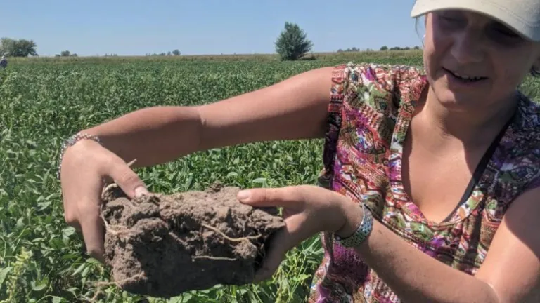 ECOOBJETIVO FOTO AGROECOLOGIA FAUBA agroeco-destacada