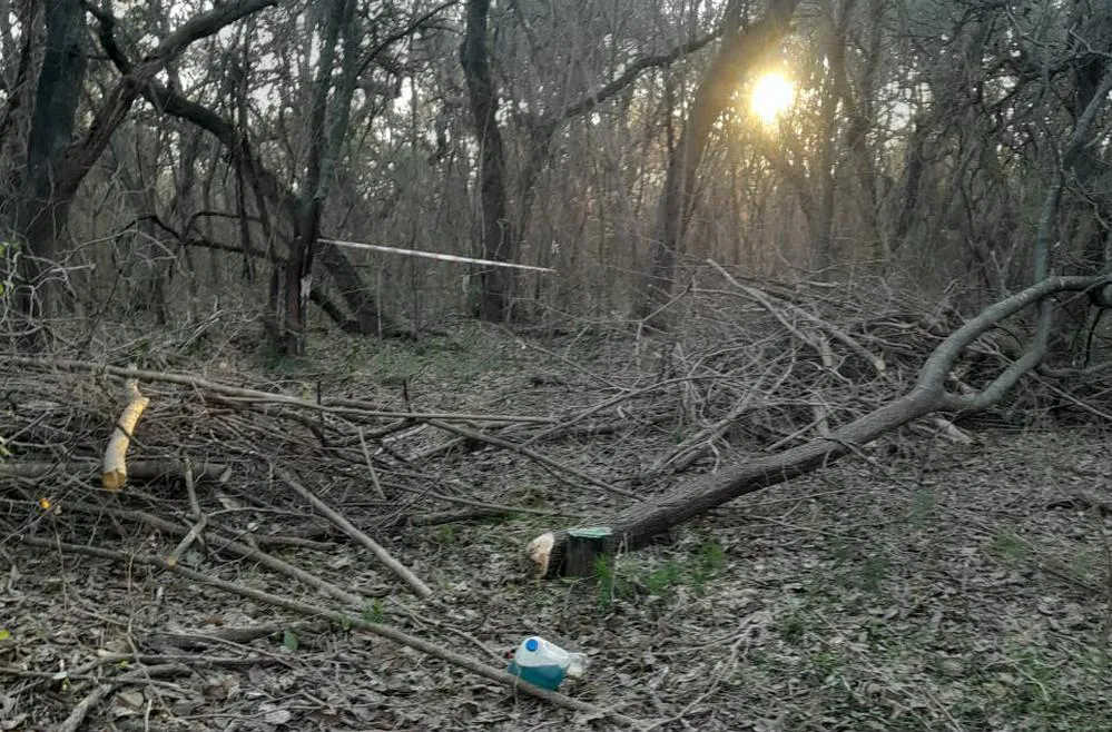 ECOOBJETIVO FOTO BELL VILLE PARQUE TAU EXOTICAS 2