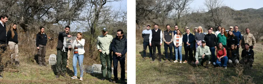 Liberacion de aves 2