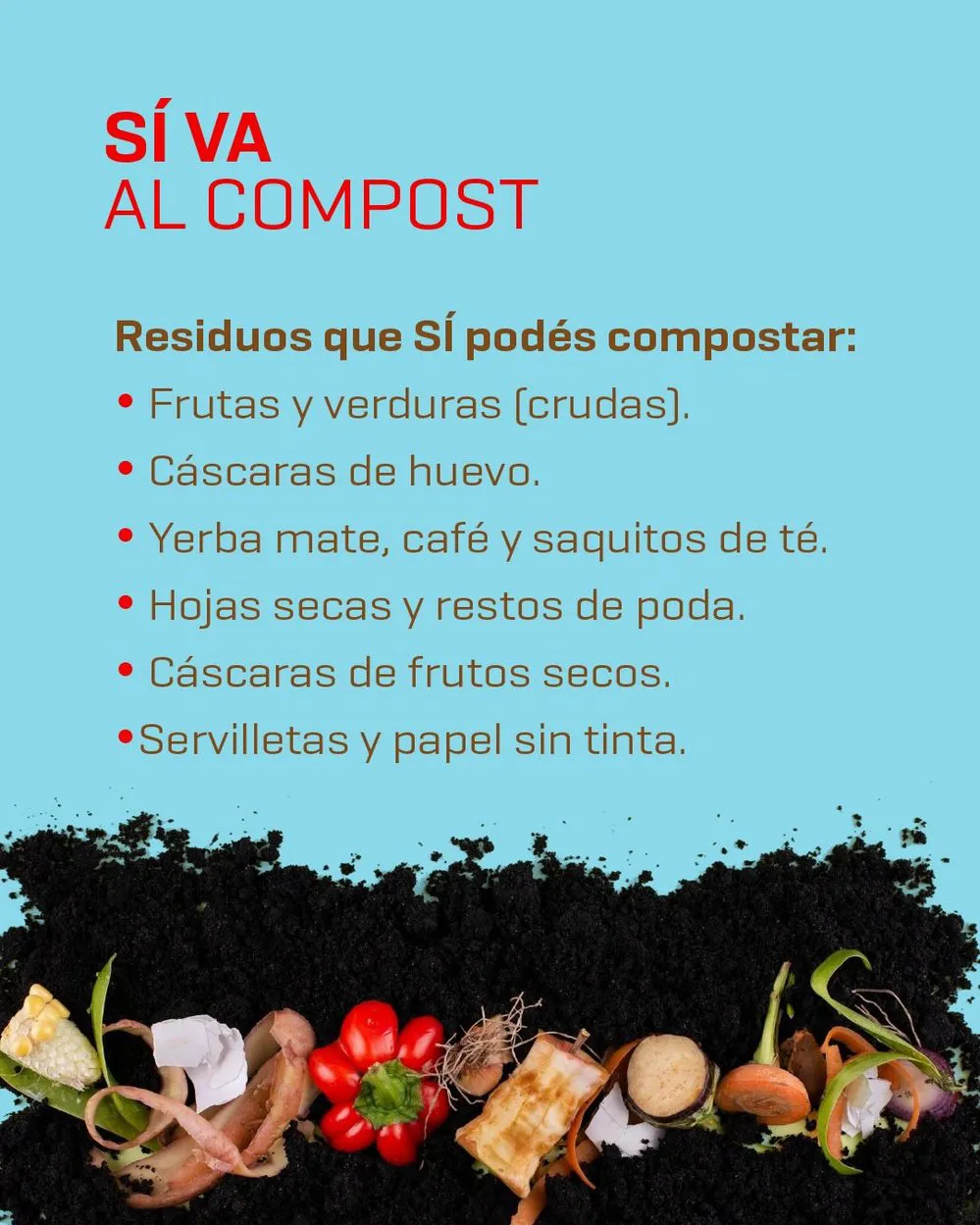 ECOOBJETIVO FOTO AMBIENTE COMPOSTAJE 3