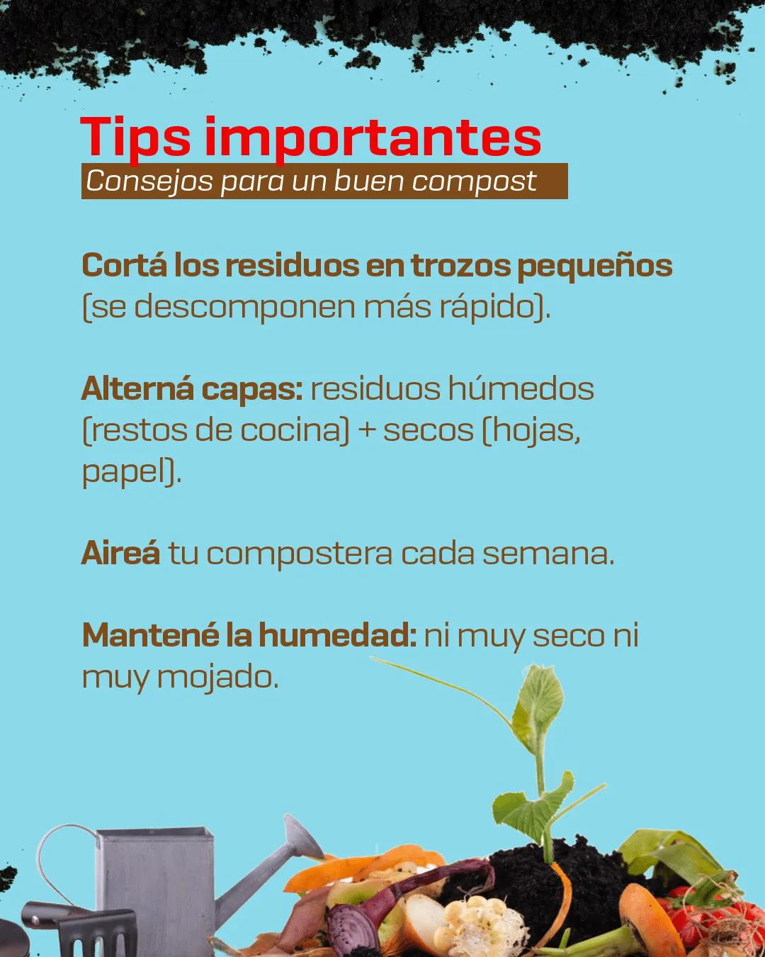 ECOOBJETIVO FOTO AMBIENTE COMPOSTAJE 5