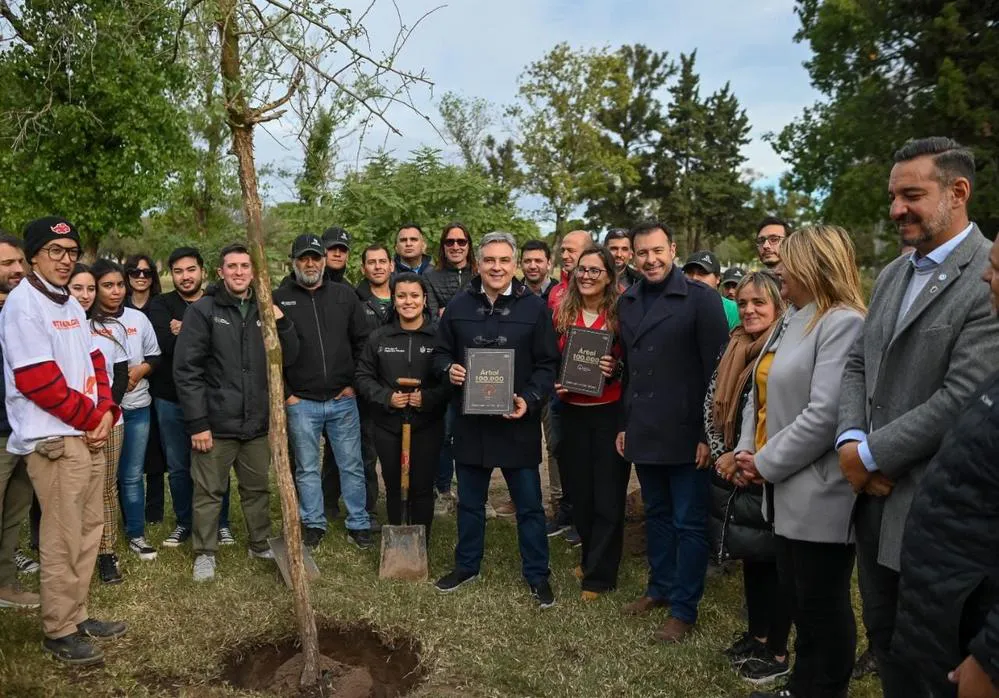ECOOBJETIVO FOTO ARBOL 100 MIL