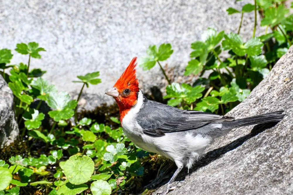 WhatsApp-Image-2024-01-03-at-17.06.02-2-1536x1023