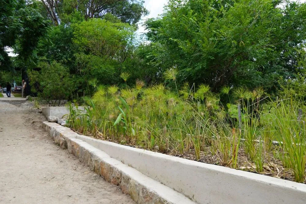 ECOOBJETIVO FOTO CABALANGO FITOSANEAMIENTO BALNEARIO 2