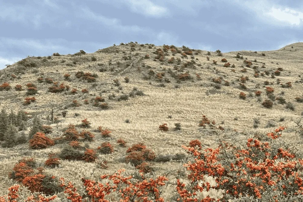 WhatsApp-Image-2025-06-03-at-09.25.58-1