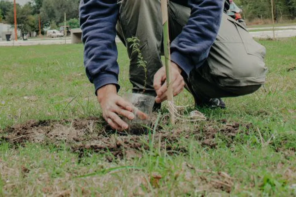 WhatsApp Image 2024-06-06 at 13.05.26 (1)