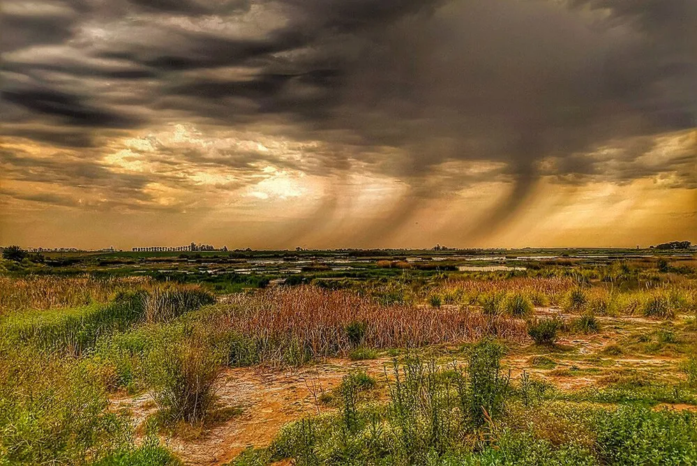 ECOOBJETIVO FOTO CORDOBA DIVERSIDAD AMBIENTE 4