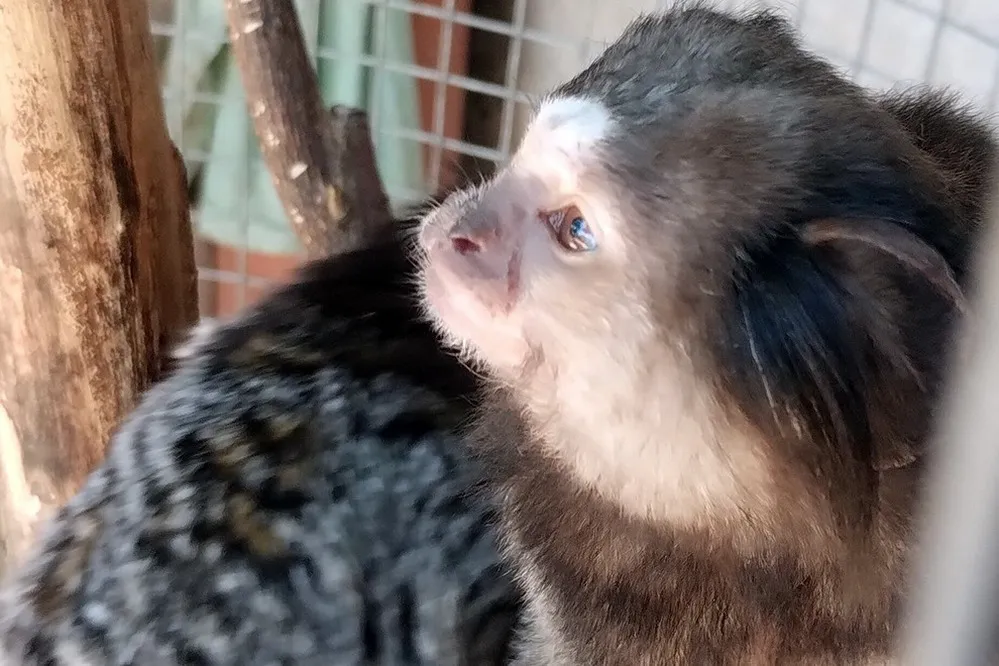 ECOOBJETIVO FOTO LAGUNA LARGA RESCATE FAUNA 130126 3