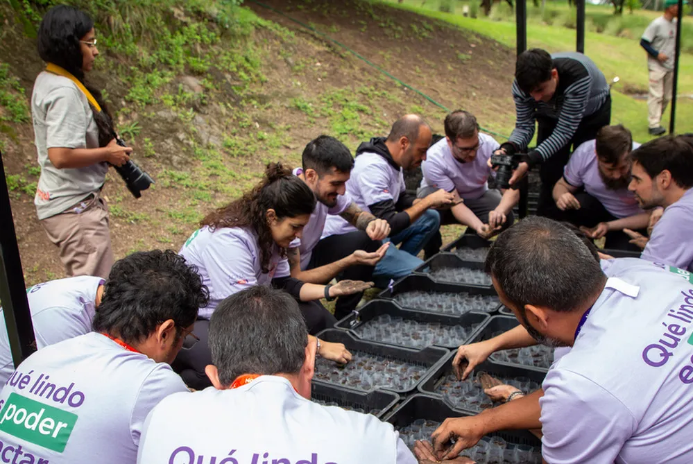 ECOOBJETIVO FOTO NARANJA X Plantacion 5