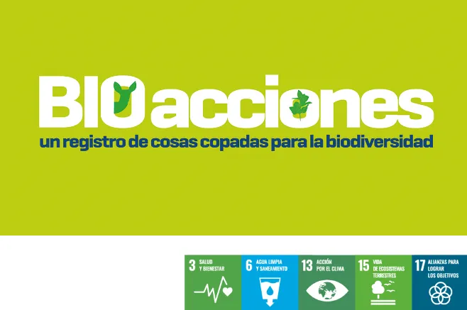 BioAcciones 2