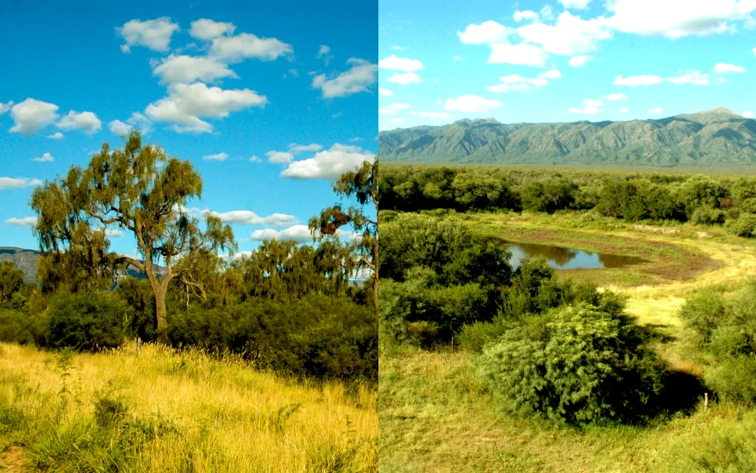 Programa Pago por Servicios Ambientales