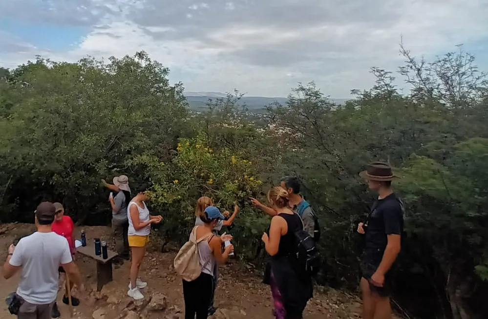 ECOOBJETIVO FOTO VILLA CARLOS PAZ RECOLECCION SEMILLAS NATIVAS CERRO LA CRUZ