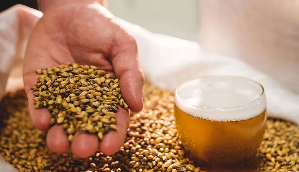 ECOOBJETIVO FOTO HUELLA CARBONO CERVEZA