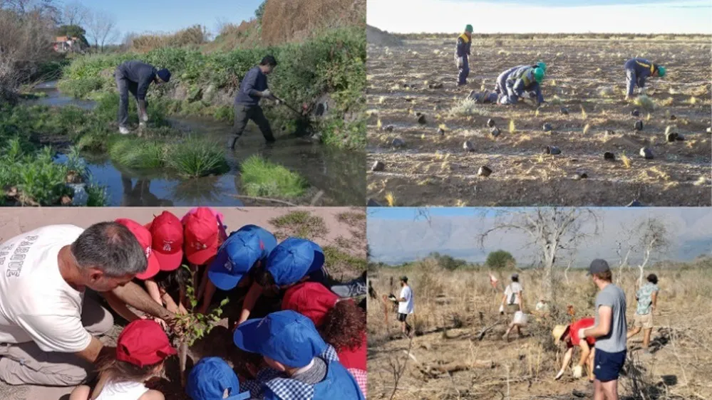 ECOOBJETIVO FOTO RESTAURACION AMBIENTAL 3 RE-Collage-restauradores