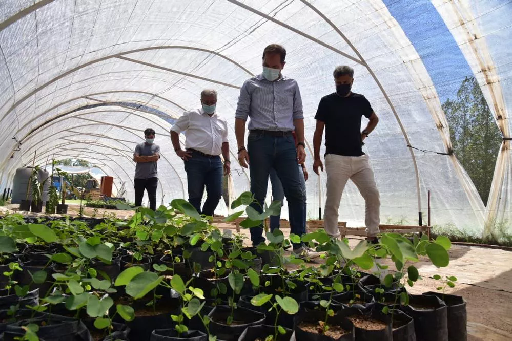 ECOOBJETIVO FOTO VILLA MARIA - Cinco mil nuevos arboles