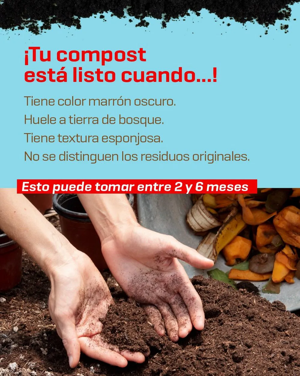 ECOOBJETIVO FOTO AMBIENTE COMPOSTAJE 6