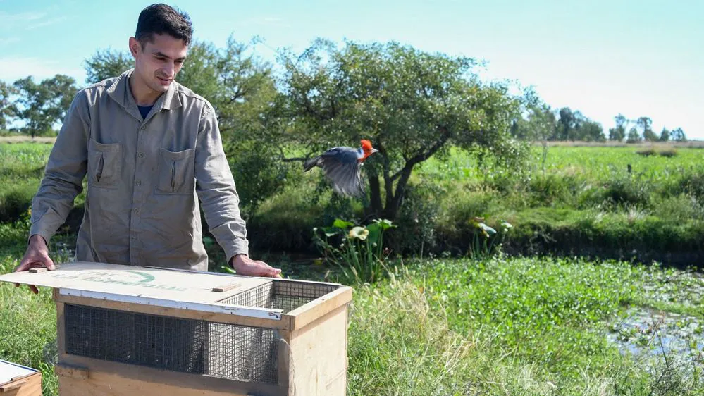 ECOOBJETIVO FOTO SANTA FE LIBERACION FAUNA SILVESTRE 3