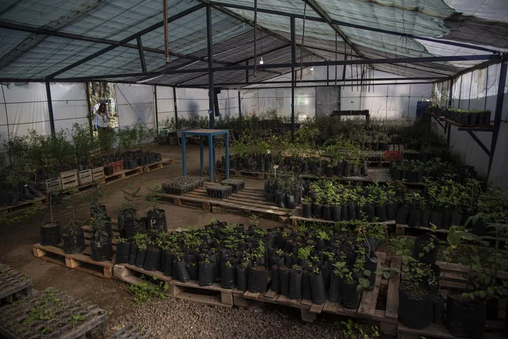 ECOOBJETIVO FOTO RIO CUARTO VIVERO MUNICIPAL ANIVERSARIO 3