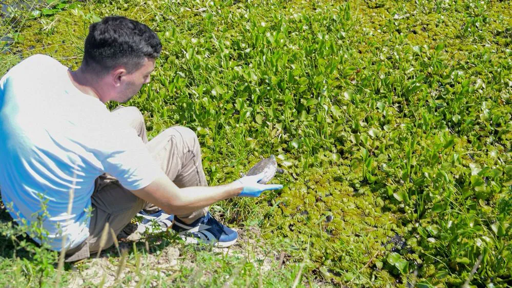 ECOOBJETIVO FOTO SANTA FE LIBERACION FAUNA SILVESTRE 4