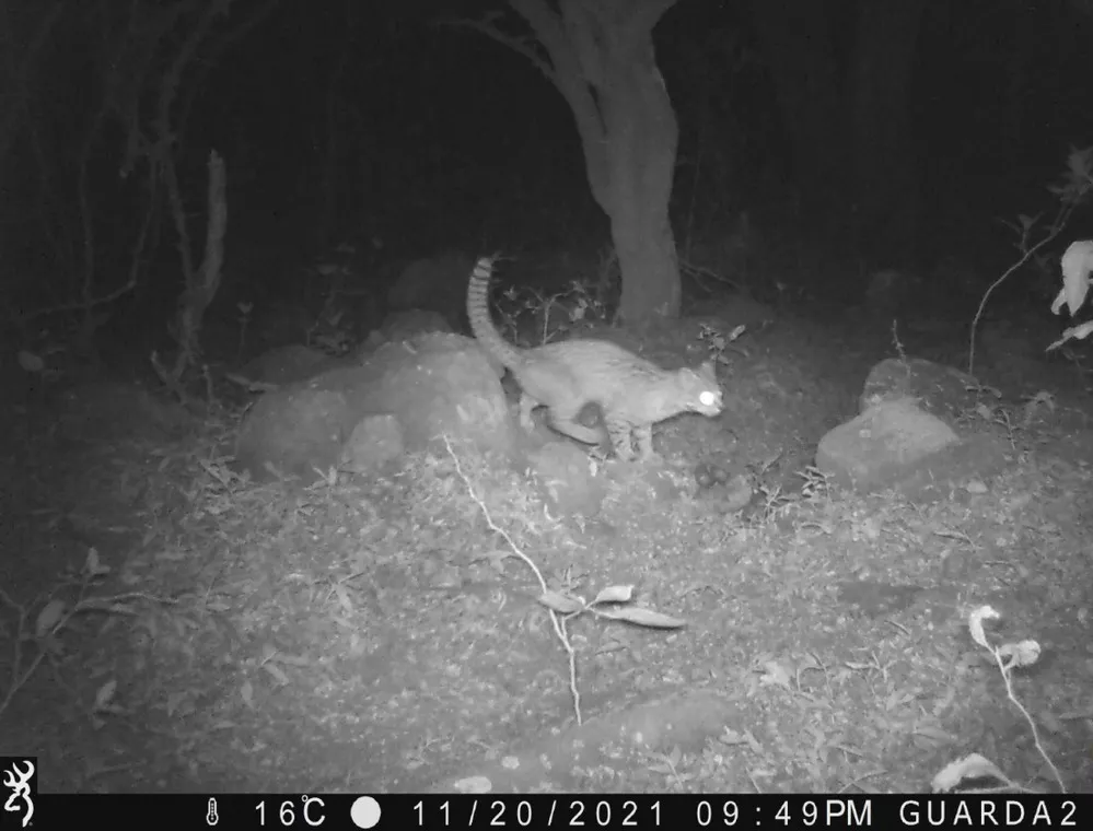 ECOOBJETIVO FOTO RIO CEBALLOS RESERVA GATO MONTES