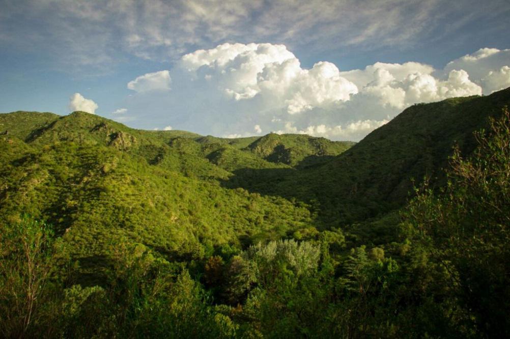 sierras de Villa General Belgrano