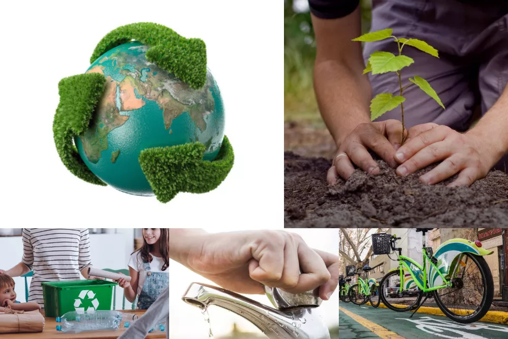 reciclar ambiente