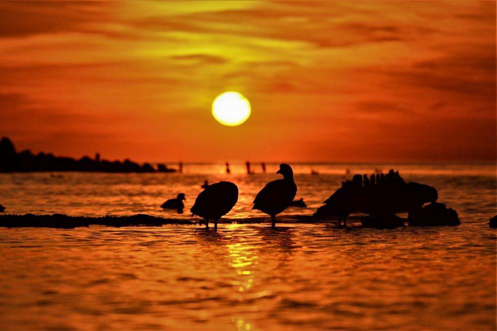 ECOOBJETIVO FOTO AMBIENTE ANSENUZA