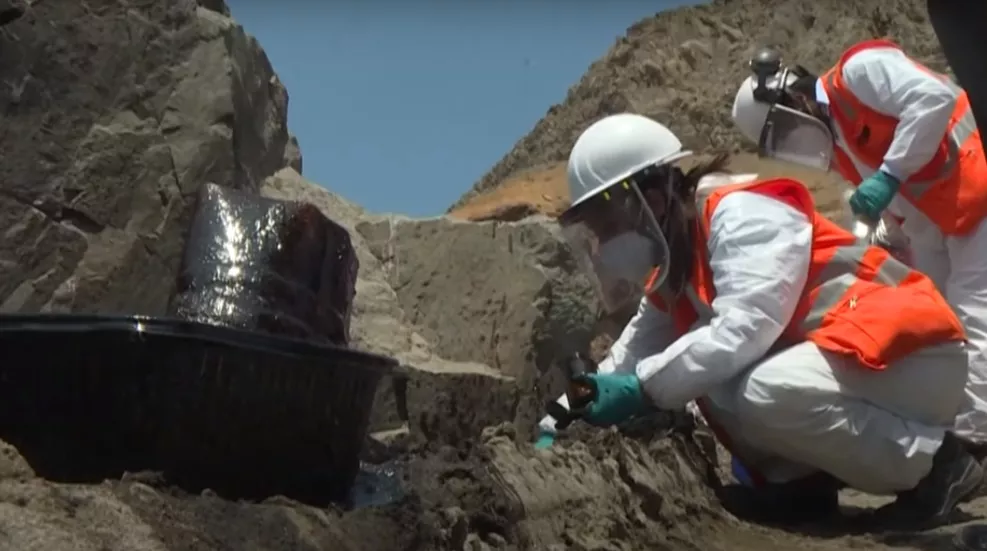 derrame-petróleo-perú-rescate-especies_ captura de video