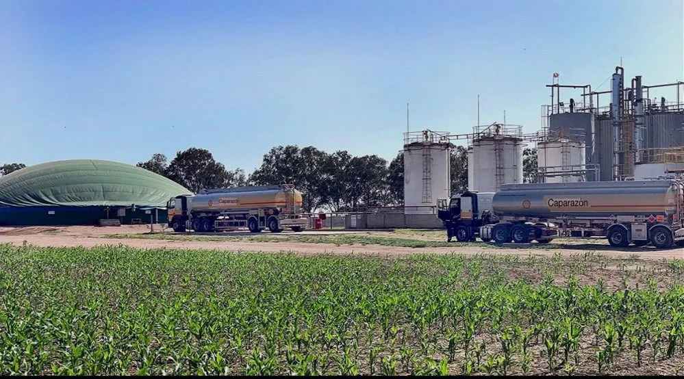 ECOOBJETIVO FOTO CORDOBA LEY BIOCOMBUSTIBLES