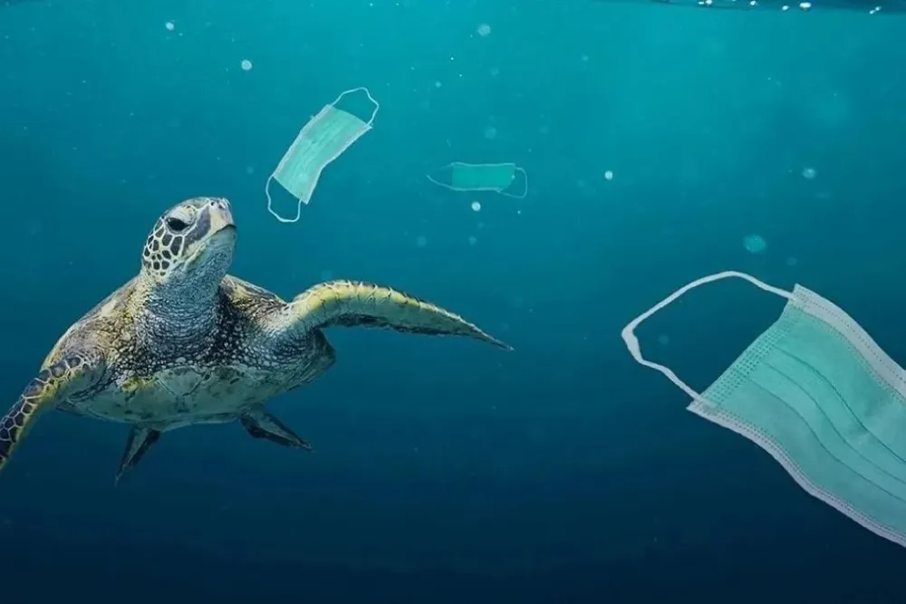 tortuga-oceano-contaminacion-plastico-pandemia