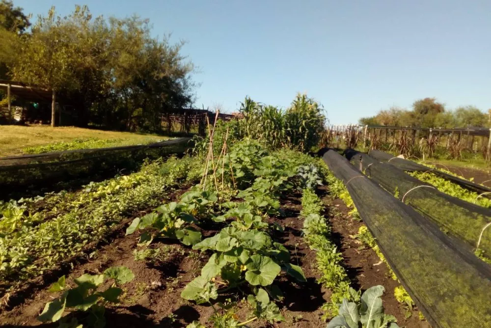 huerta_agroecologica