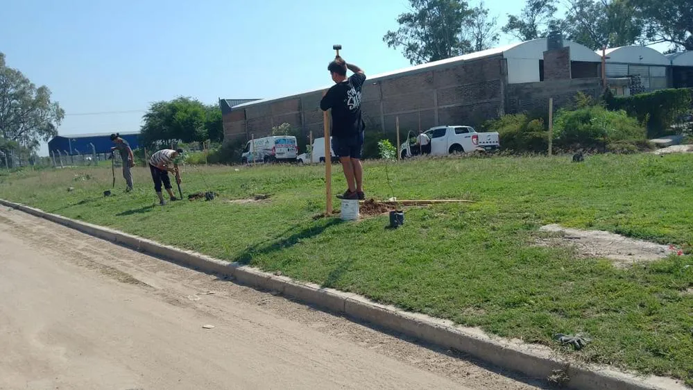 ECOOBJETIVO FOTO VILLA MARIA FORESTACION AVENIDA PERAZZOLO