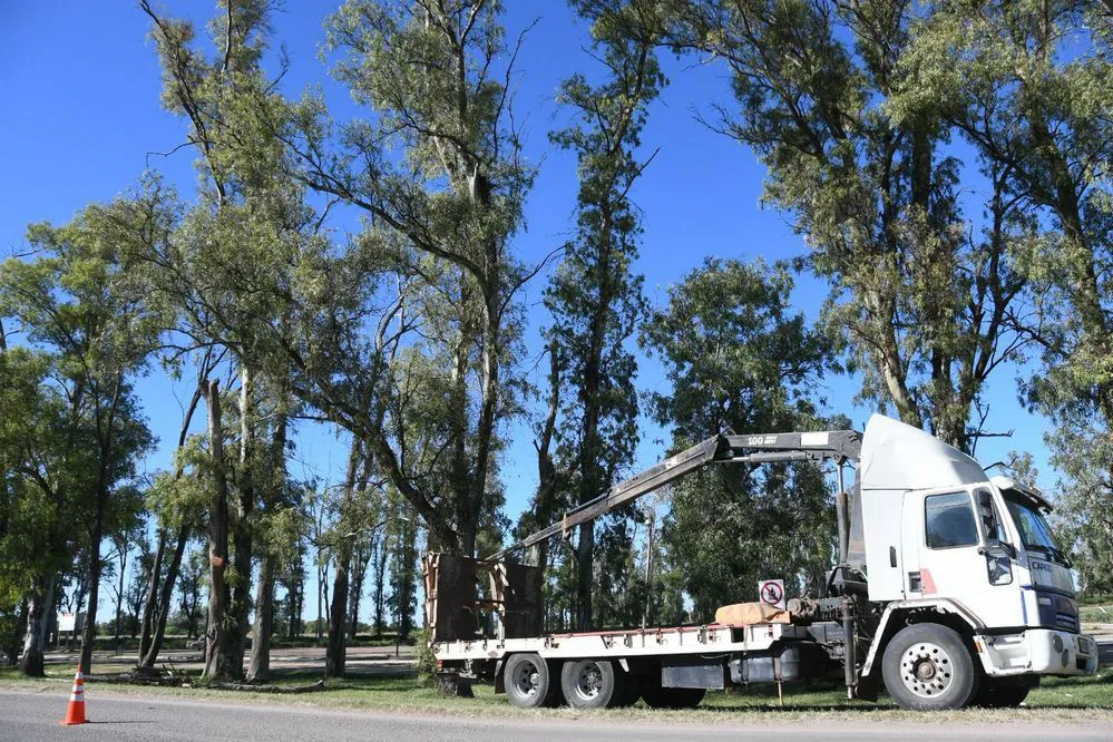 ECOOBJETIVO FOTO SAN FRANCISCO ARBOLADO RP1 1