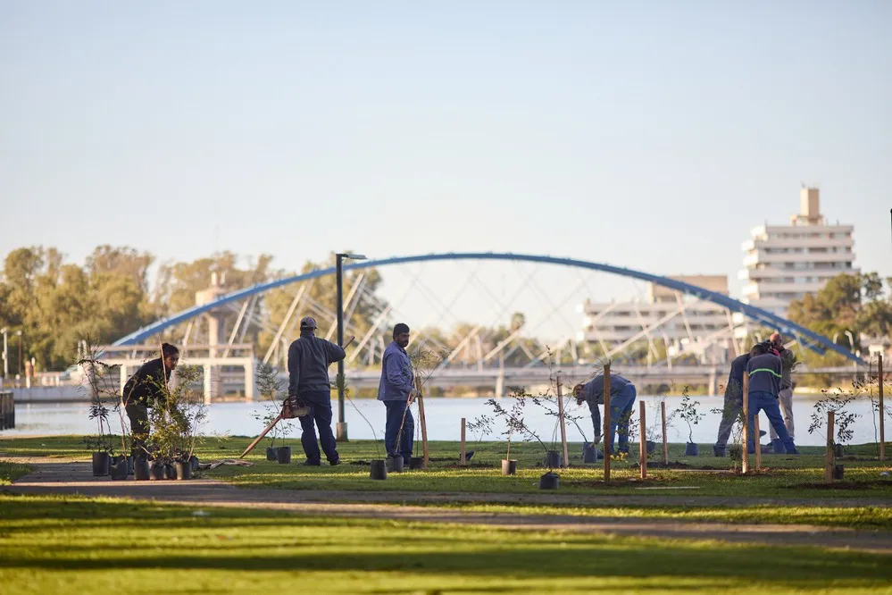 ECOOBJETIVO FOTO VILLA MARIA BOSQUE DE BOLSILLO COSTANERA 2