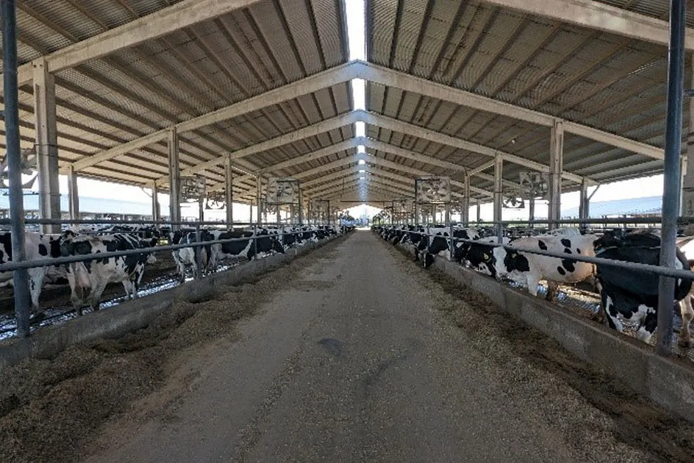 ECOOBJETIVO FOTO LUQUE ENERGIA TAMBO Luque-2